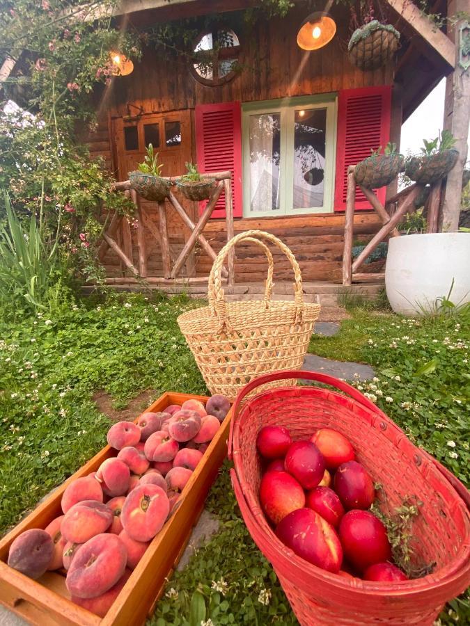 Bagi Meena Bagh Ratnari- An Apple Orchard Bungalow מראה חיצוני תמונה